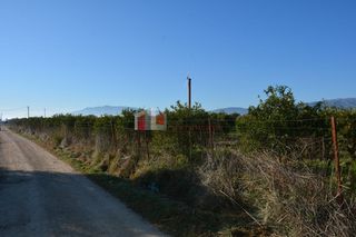 Αγροτεμάχια 7.500 τ.μ. για πώληση, Αργολίδα, Νέα Κίος-thumb-7