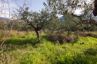 Οικόπεδο 1.050 τ.μ. για πώληση, Μεσσηνία, Λεύκτρος-thumb-4