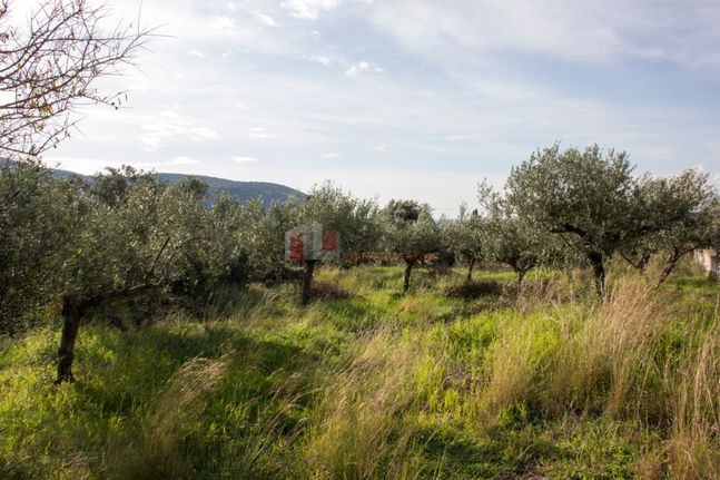 Land plot 1.050 sqm for sale, Messinia, Lefktros