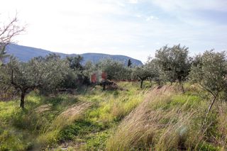 Οικόπεδο 1.050 τ.μ. για πώληση, Μεσσηνία, Λεύκτρος-thumb-1