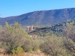 Αγροτεμάχια 5.950 τ.μ. για πώληση, Αργολίδα, Ναύπλιο-thumb-15