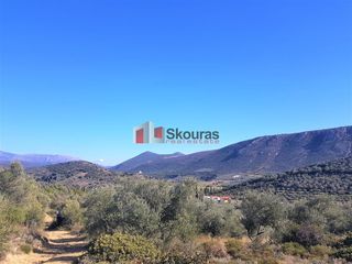 Αγροτεμάχια 5.950 τ.μ. για πώληση, Αργολίδα, Ναύπλιο-thumb-6