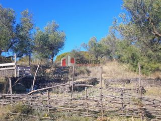 Αγροτεμάχια 5.950 τ.μ. για πώληση, Αργολίδα, Ναύπλιο-thumb-22