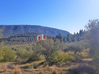 Αγροτεμάχια 5.950 τ.μ. για πώληση, Αργολίδα, Ναύπλιο-thumb-8