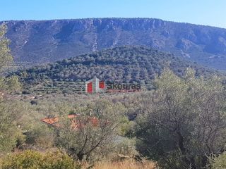 Αγροτεμάχια 5.950 τ.μ. για πώληση, Αργολίδα, Ναύπλιο-thumb-14