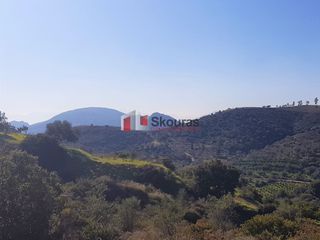 Αγροτεμάχια 5.950 τ.μ. για πώληση, Αργολίδα, Ναύπλιο-thumb-10
