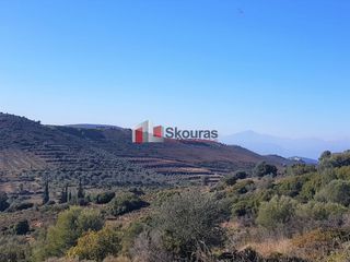 Αγροτεμάχια 5.950 τ.μ. για πώληση, Αργολίδα, Ναύπλιο-thumb-21
