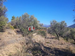 Αγροτεμάχια 5.950 τ.μ. για πώληση, Αργολίδα, Ναύπλιο-thumb-13