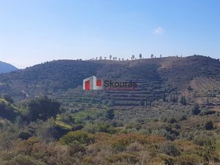 Αγροτεμάχια 5.950 τ.μ. για πώληση, Αργολίδα, Ναύπλιο-thumb-20