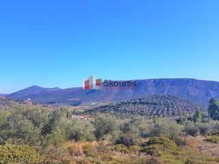 Αγροτεμάχια 5.950 τ.μ. για πώληση, Αργολίδα, Ναύπλιο-thumb-11