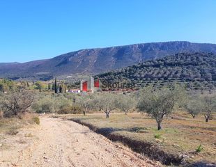 Αγροτεμάχια 5.950 τ.μ. για πώληση, Αργολίδα, Ναύπλιο-thumb-7