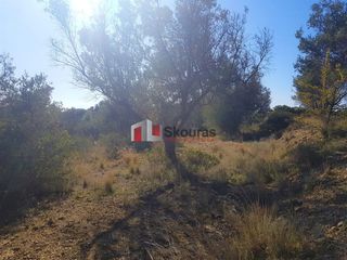 Αγροτεμάχια 5.950 τ.μ. για πώληση, Αργολίδα, Ναύπλιο-thumb-17