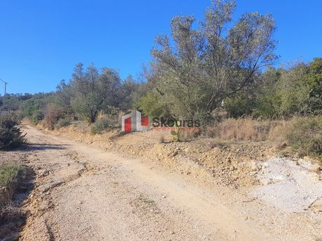 Αγροτεμάχια 5.950τ.μ. για πώληση-Ναύπλιο