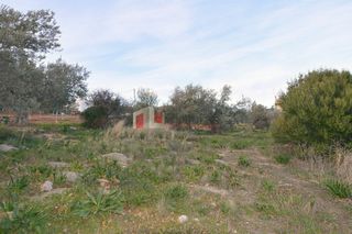 Οικόπεδο 2.000 τ.μ. για πώληση, Αρκαδία, Βόρεια Κυνουρία-thumb-11