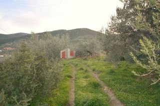 Οικόπεδο 2.000 τ.μ. για πώληση, Αρκαδία, Βόρεια Κυνουρία-thumb-20