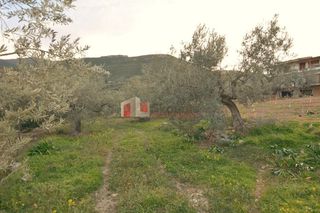 Οικόπεδο 2.000 τ.μ. για πώληση, Αρκαδία, Βόρεια Κυνουρία-thumb-19