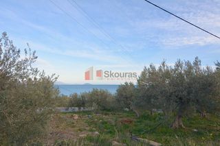 Οικόπεδο 2.000 τ.μ. για πώληση