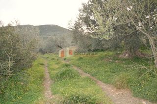 Οικόπεδο 2.000 τ.μ. για πώληση, Αρκαδία, Βόρεια Κυνουρία-thumb-6