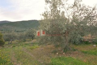Οικόπεδο 2.000 τ.μ. για πώληση, Αρκαδία, Βόρεια Κυνουρία-thumb-3