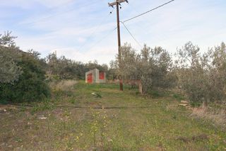 Οικόπεδο 2.000 τ.μ. για πώληση, Αρκαδία, Βόρεια Κυνουρία-thumb-17