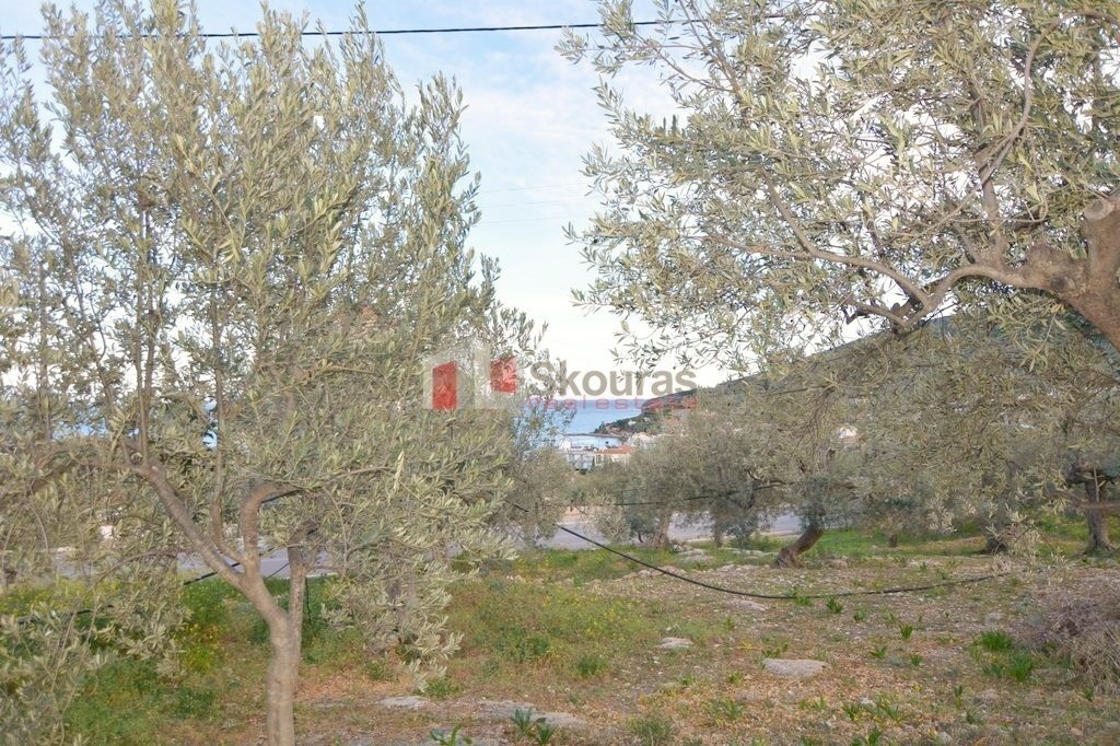 Οικόπεδο 2.000 τ.μ. προς πώληση, Ξηροπήγαδο Βόρειας Κυνουρίας