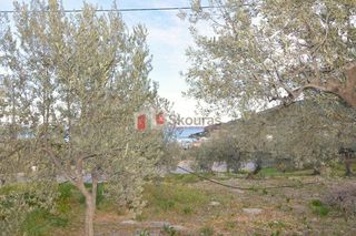 Οικόπεδο 2.000 τ.μ. για πώληση, Αρκαδία, Βόρεια Κυνουρία-thumb-1