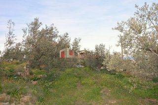 Οικόπεδο 2.000 τ.μ. για πώληση, Αρκαδία, Βόρεια Κυνουρία-thumb-14
