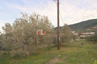 Οικόπεδο 2.000 τ.μ. για πώληση, Αρκαδία, Βόρεια Κυνουρία-thumb-24