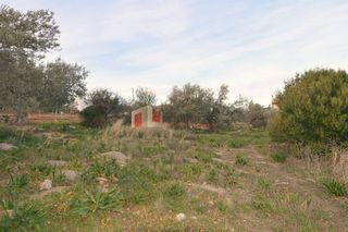 Οικόπεδο 2.000 τ.μ. για πώληση, Αρκαδία, Βόρεια Κυνουρία-thumb-23