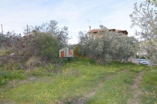 Οικόπεδο 2.000 τ.μ. για πώληση, Αρκαδία, Βόρεια Κυνουρία-thumb-18
