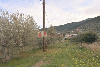 Οικόπεδο 2.000 τ.μ. για πώληση, Αρκαδία, Βόρεια Κυνουρία-thumb-10