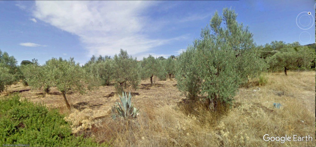 Αγροτεμάχια 8.580 τ.μ. προς πώληση, Καρατζάς