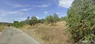 Αγροτεμάχια 8.580 τ.μ. για πώληση