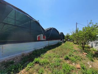 Αγροτεμάχια 6.700 τ.μ. για πώληση, Αργολίδα, Λέρνα-thumb-2