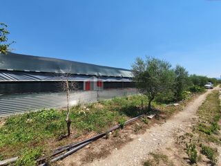 Αγροτεμάχια 6.700 τ.μ. για πώληση, Αργολίδα, Λέρνα-thumb-4