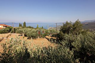 Οικόπεδο 650 τ.μ. για πώληση, Μεσσηνία, Λεύκτρος-thumb-7