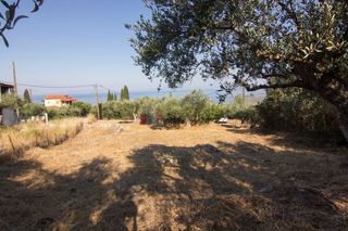 Οικόπεδο 650 τ.μ. για πώληση, Μεσσηνία, Λεύκτρος-thumb-5