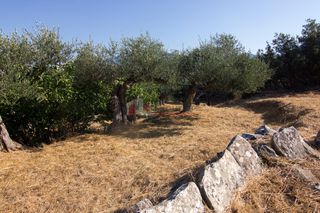 Οικόπεδο 650 τ.μ. για πώληση, Μεσσηνία, Λεύκτρος-thumb-13