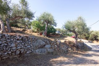 Οικόπεδο 650 τ.μ. για πώληση, Μεσσηνία, Λεύκτρος-thumb-23