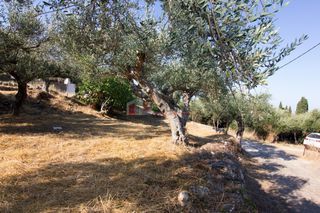 Οικόπεδο 650 τ.μ. για πώληση, Μεσσηνία, Λεύκτρος-thumb-19