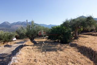 Οικόπεδο 650 τ.μ. για πώληση, Μεσσηνία, Λεύκτρος-thumb-14