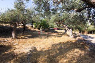 Οικόπεδο 650 τ.μ. για πώληση, Μεσσηνία, Λεύκτρος-thumb-3