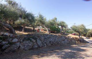 Οικόπεδο 650 τ.μ. για πώληση, Μεσσηνία, Λεύκτρος-thumb-24