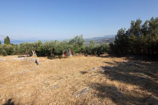 Οικόπεδο 650 τ.μ. για πώληση, Μεσσηνία, Λεύκτρος-thumb-9