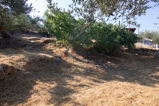 Οικόπεδο 650 τ.μ. για πώληση, Μεσσηνία, Λεύκτρος-thumb-17