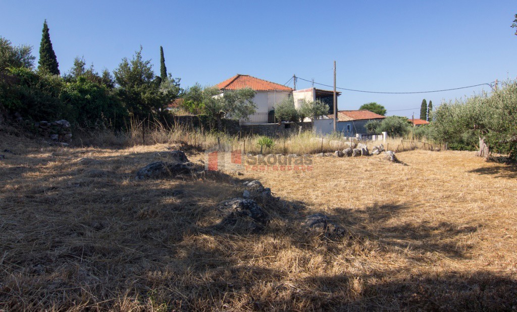 Οικόπεδο 650 τ.μ. προς πώληση, Πλάτσα
