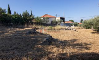 Οικόπεδο 650 τ.μ. για πώληση, Μεσσηνία, Λεύκτρος-thumb-4