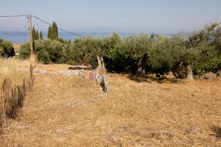 Οικόπεδο 650 τ.μ. για πώληση, Μεσσηνία, Λεύκτρος-thumb-10