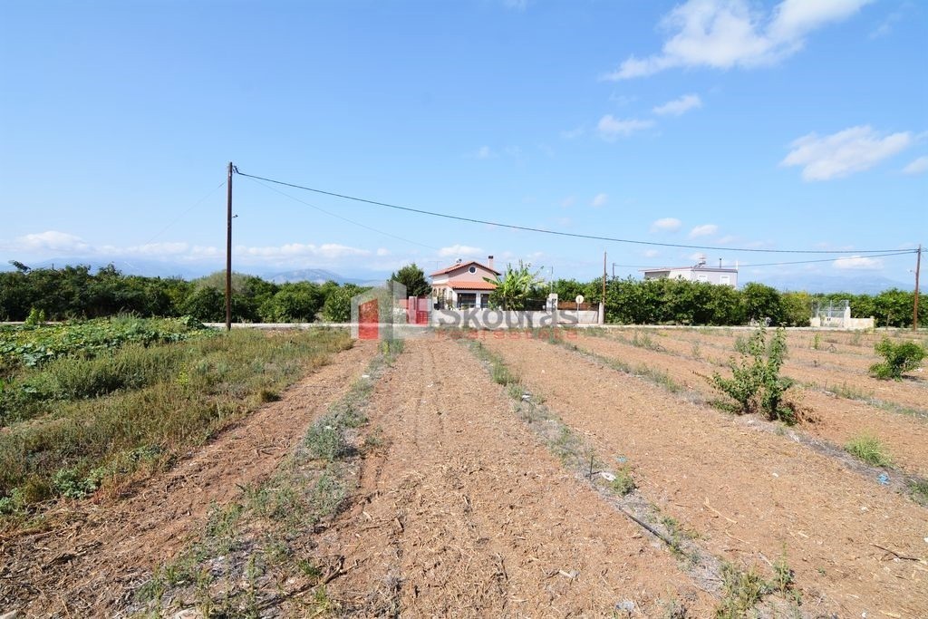 Οικόπεδο 700 τ.μ. για πώληση, Αργολίδα, Μιδέα