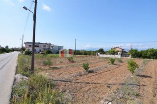Οικόπεδο 700 τ.μ. για πώληση, Αργολίδα, Μιδέα-thumb-12